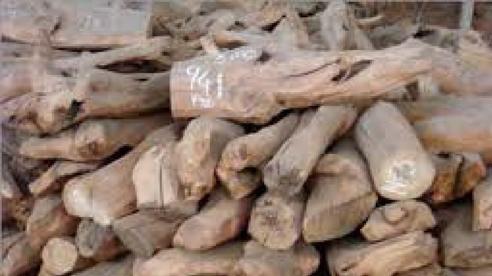 50 kilogram sandal seized from marayur