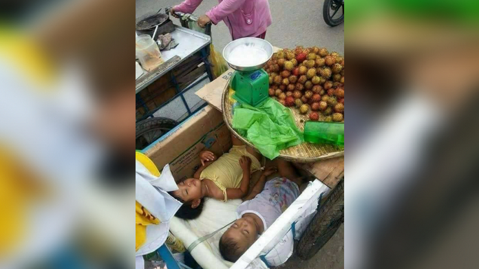 story behind the photo of rambutan merchants who are forced to carry their children in their cart