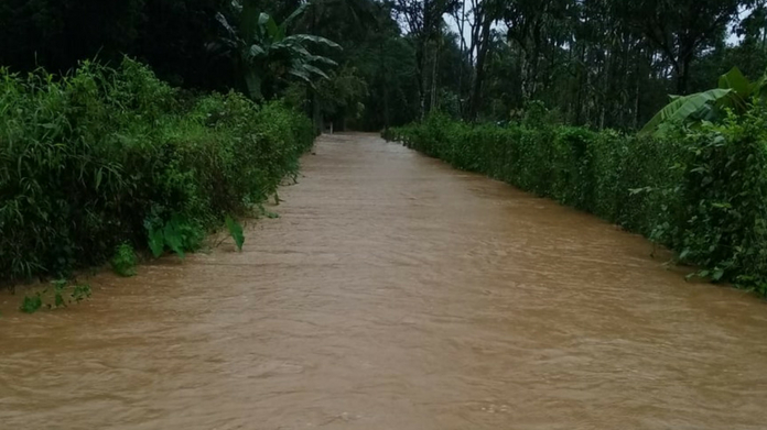 red alert in wayanad