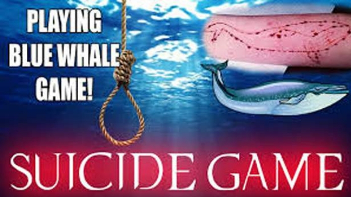 blue whale game