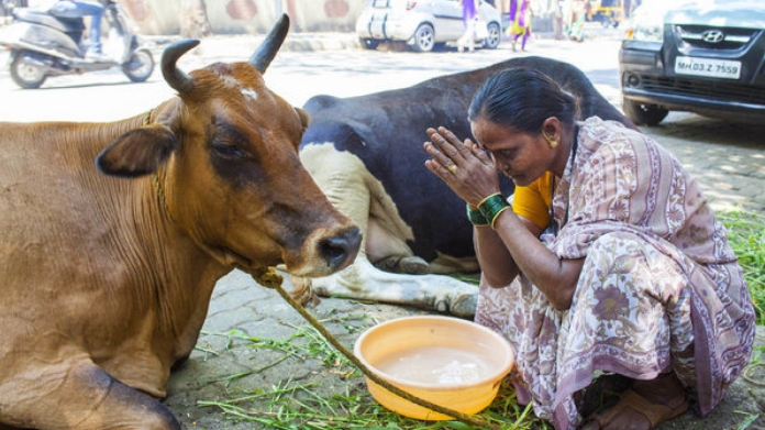 uttarakhand passess bill to make cow as national mother