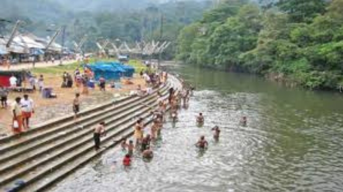 pamba