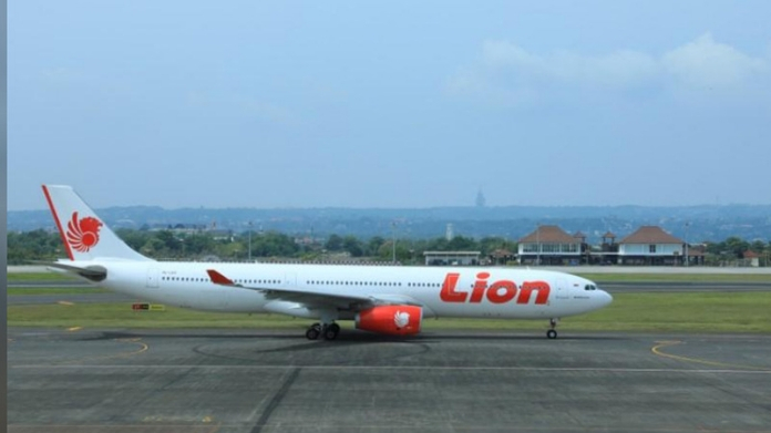 lion