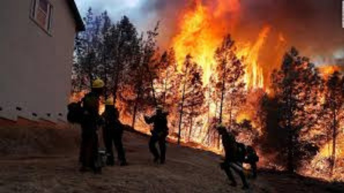fire wild