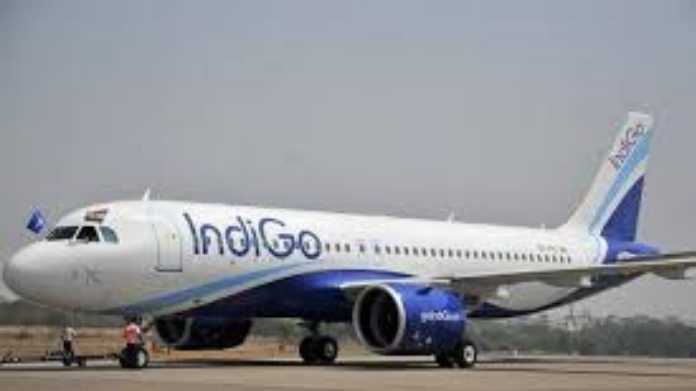 indigo