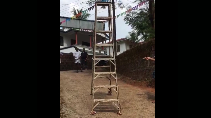 ladder