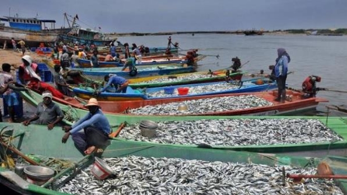 draft of fisheries policy sanctioned