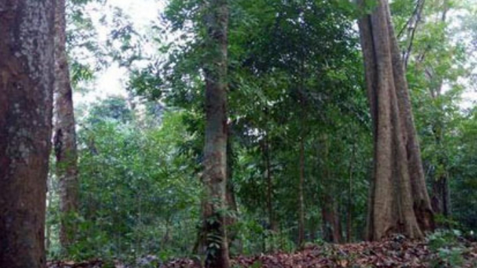 ponthan puzha