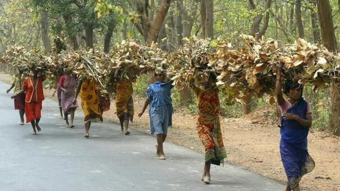 adivasi