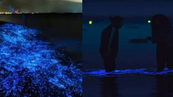 boiluminance