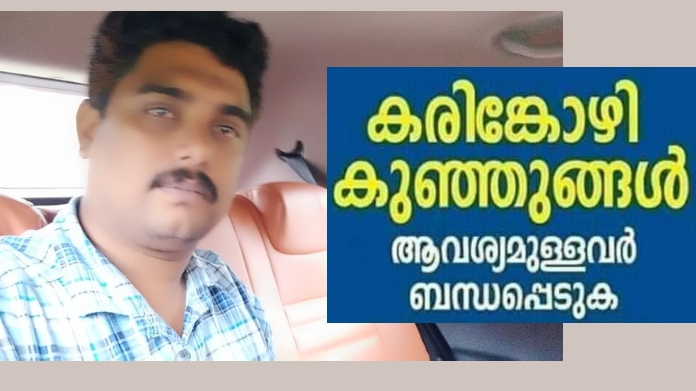 kozhi