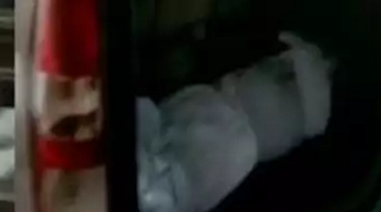 dead body