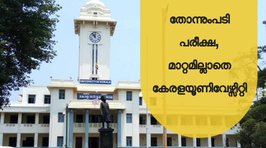 university