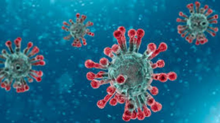 COROnavirus