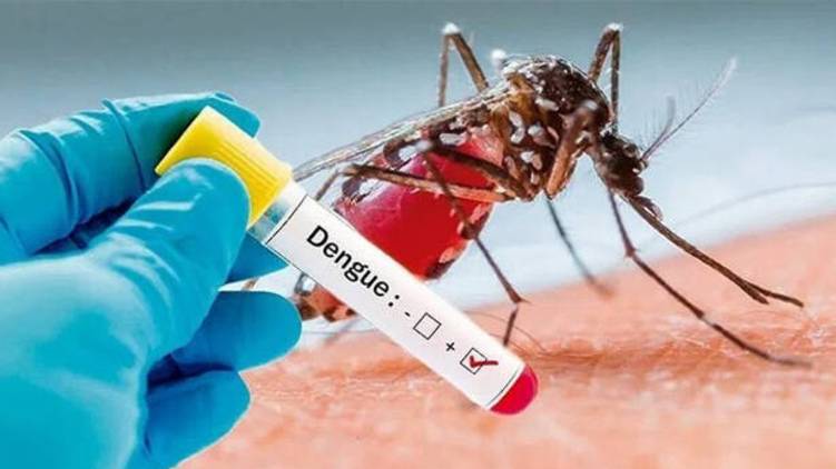 dengue