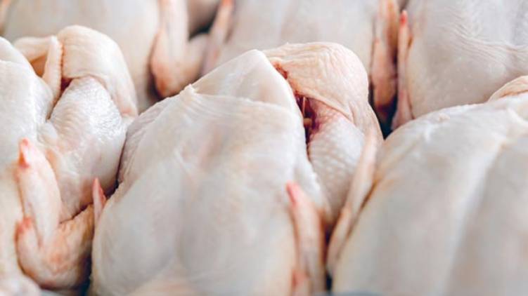 chicken price sky rocket in kerala