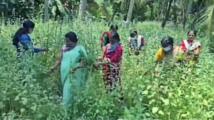 women farmers
