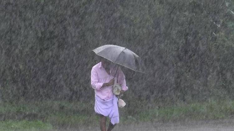 rain