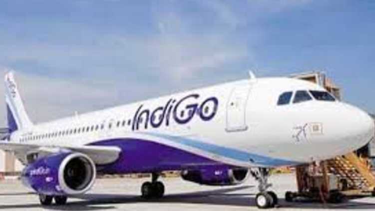indigo