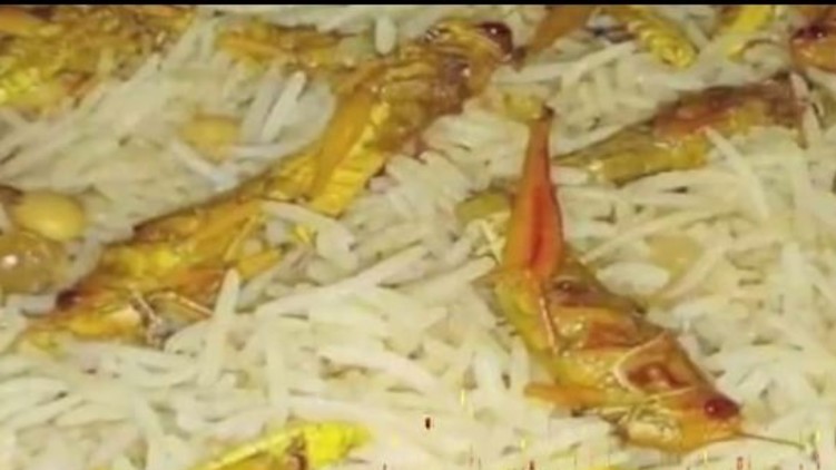 Locust biryani in pakistan