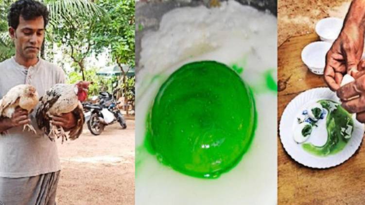 eggs with green yolk