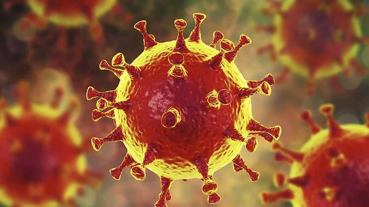 corona virus