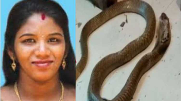 SNAKE