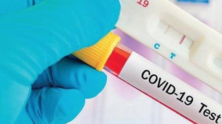 Antibody test conducted in 950 people in Palakkad