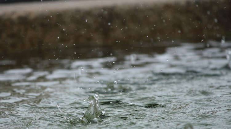 monsoon begins today yellow alert nine districts kerala