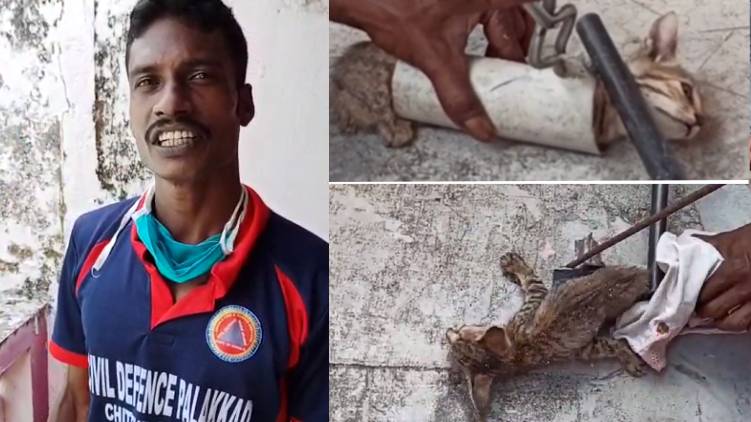 cat rescued palakkad