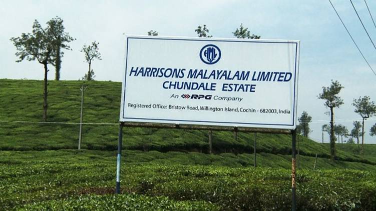 district collectors asked to file case govt land encroachment