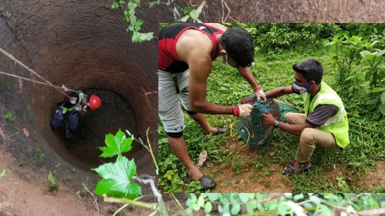 stray dog rescued from well malappuram