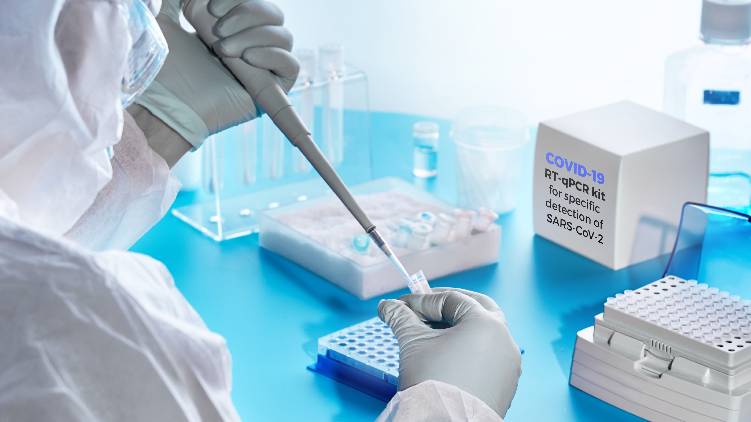rt pcr test