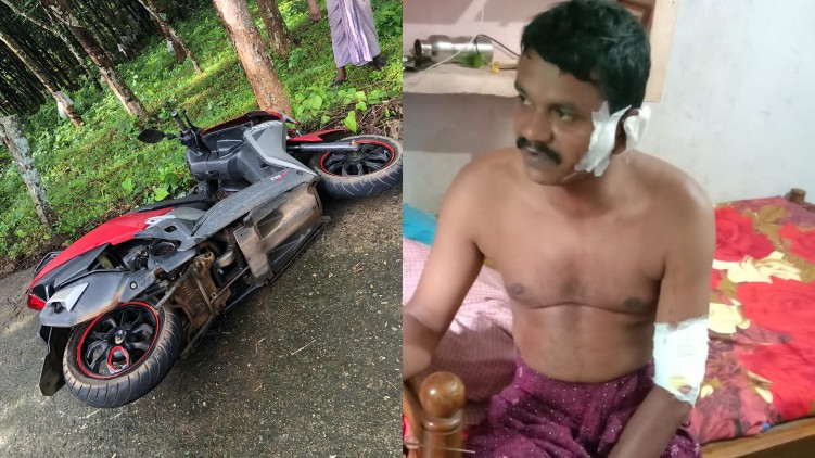 elephant attack pathanapuram