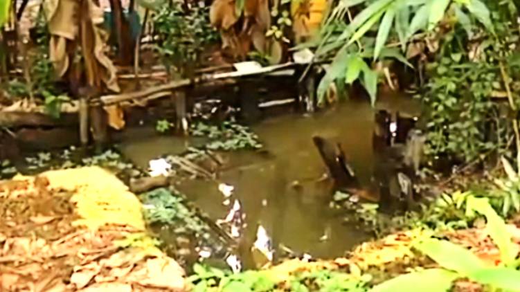 neelamperur families water canal problem