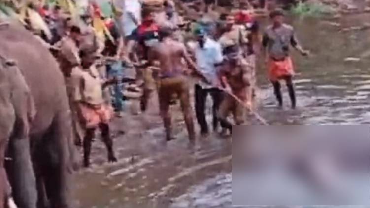 wild elepant kill enquiry strengthens forest department police