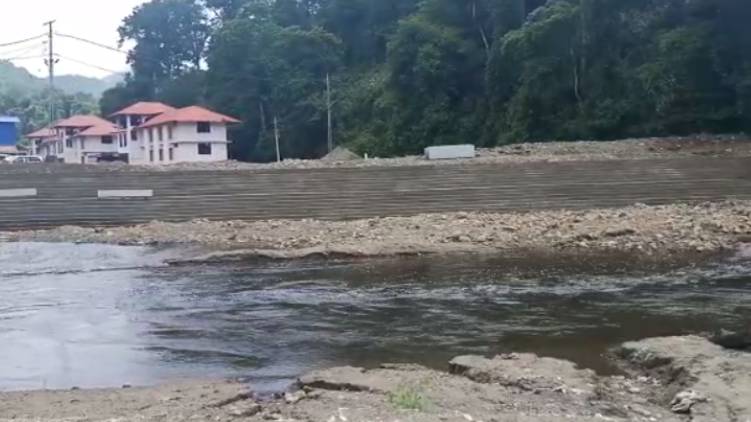 pamba