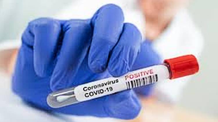 coronavirus kottayam