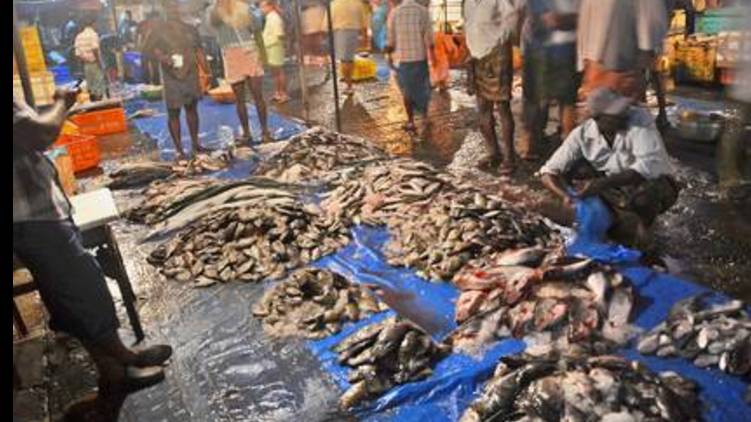 strict regulations in ernakulam market
