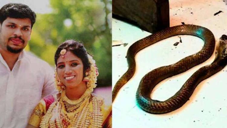 cobra poison found inside uthra body