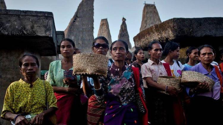 story of island where women are kidnapped for wedding