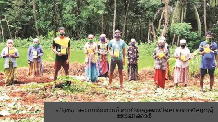 youth enrolls for NREGS work pathanamthitta