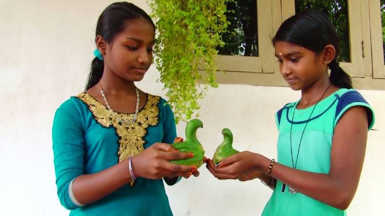 malappuram duck shaped pappaya shocks internet