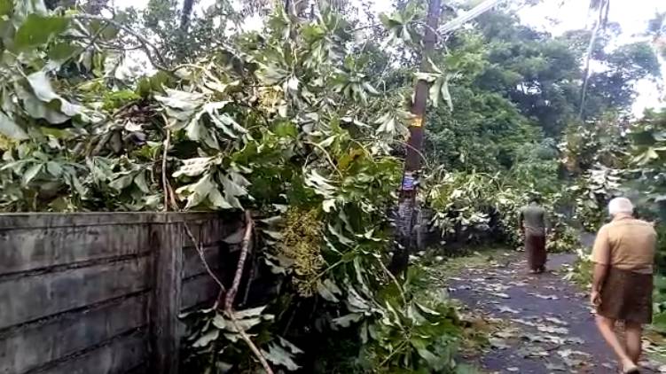 koratty heavy wind
