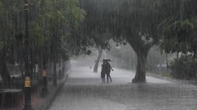 rain alert