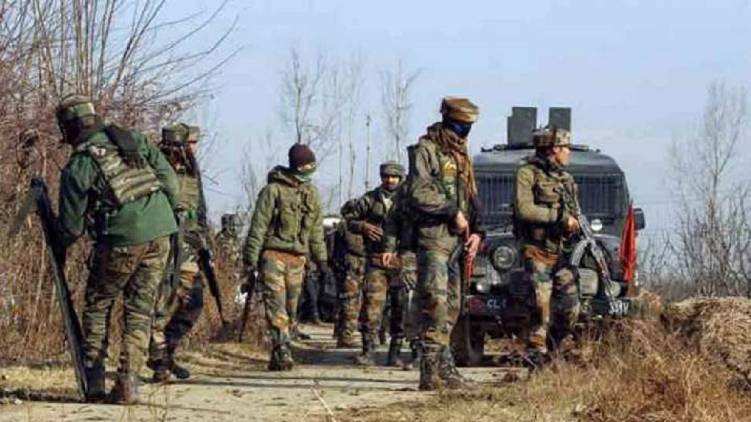 Amshipora