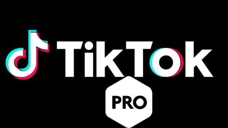 tiktok pro fake message
