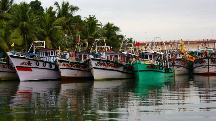 azeekal harbour