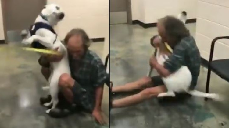 man reunites pet dog