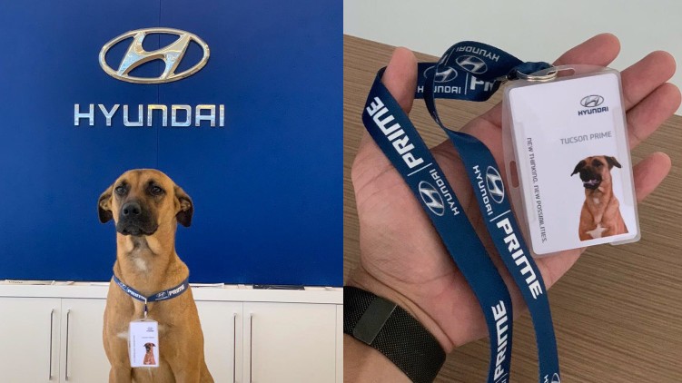 Hyundai Dog Car Salesman
